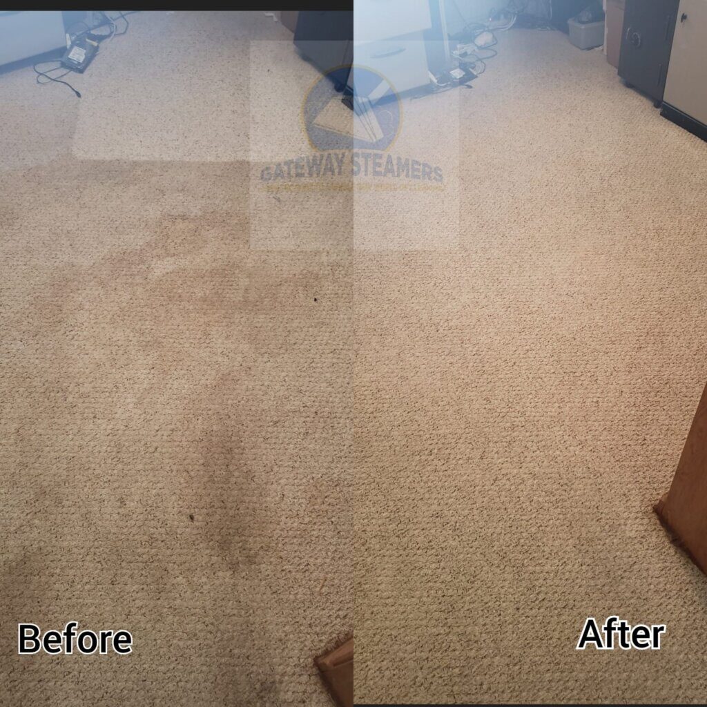 Carpet Cleaning in Round Rock
