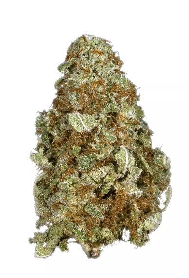Psyche420trip. Buy Grape Kush Strain