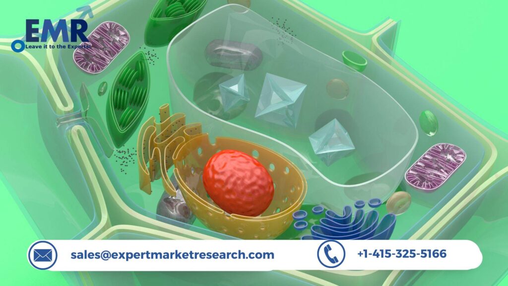 Primary Cells Market