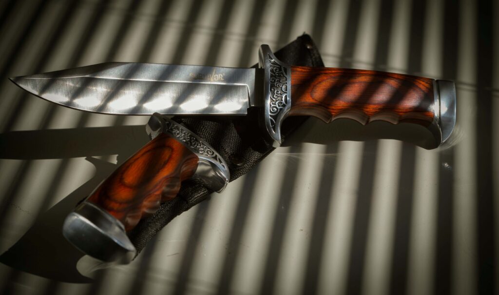 In What Way Does a Bowie Knife Differ from Other Knives?