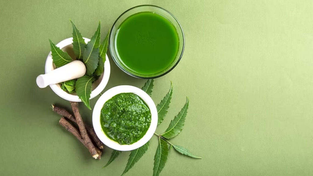 Neem’s Use, Benefits, And Side Effects