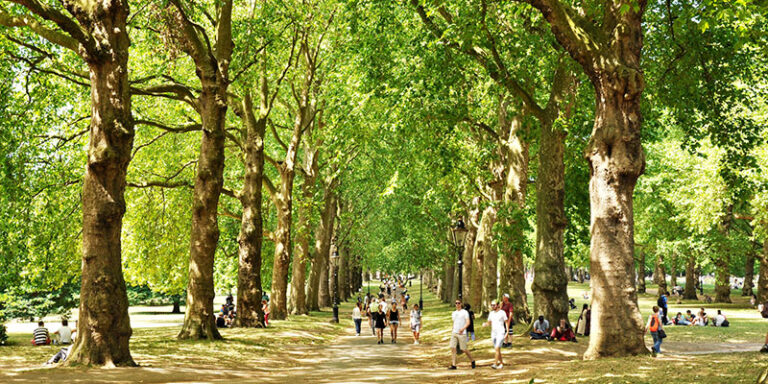 RV Park near London