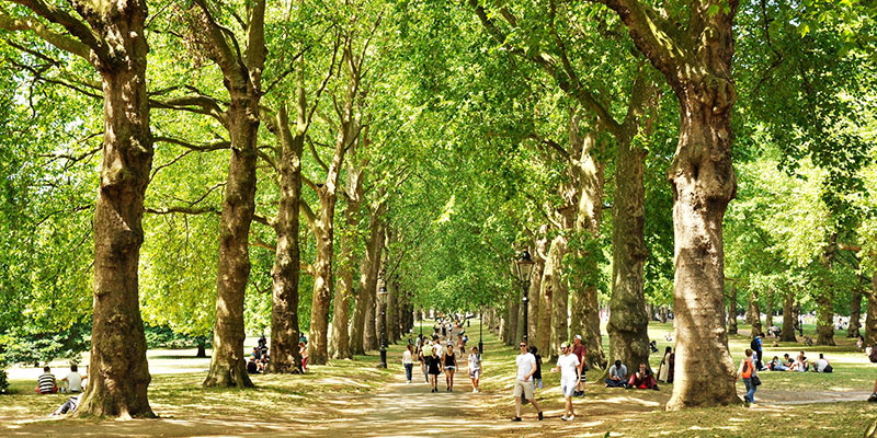 RV Park near London