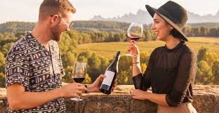 Savor the Flavors: A Wine Tasting Tour Guide for Wine Enthusiasts