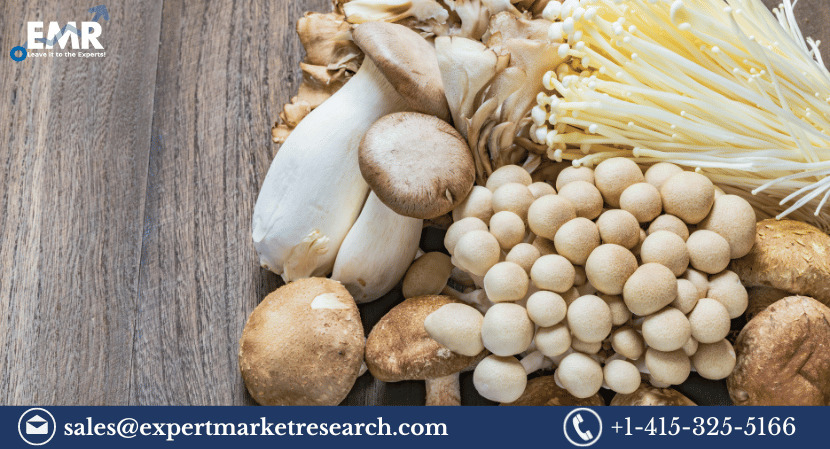 Mushroom Substrate Market
