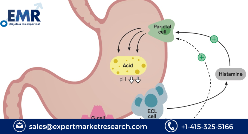 Proton Pump Inhibitors Market