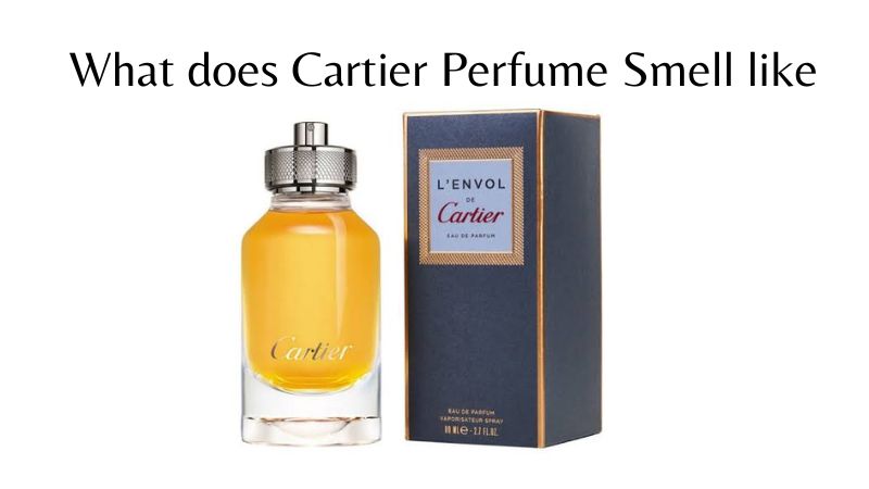 The Mystique of Oud Perfumes always been considered an essential.