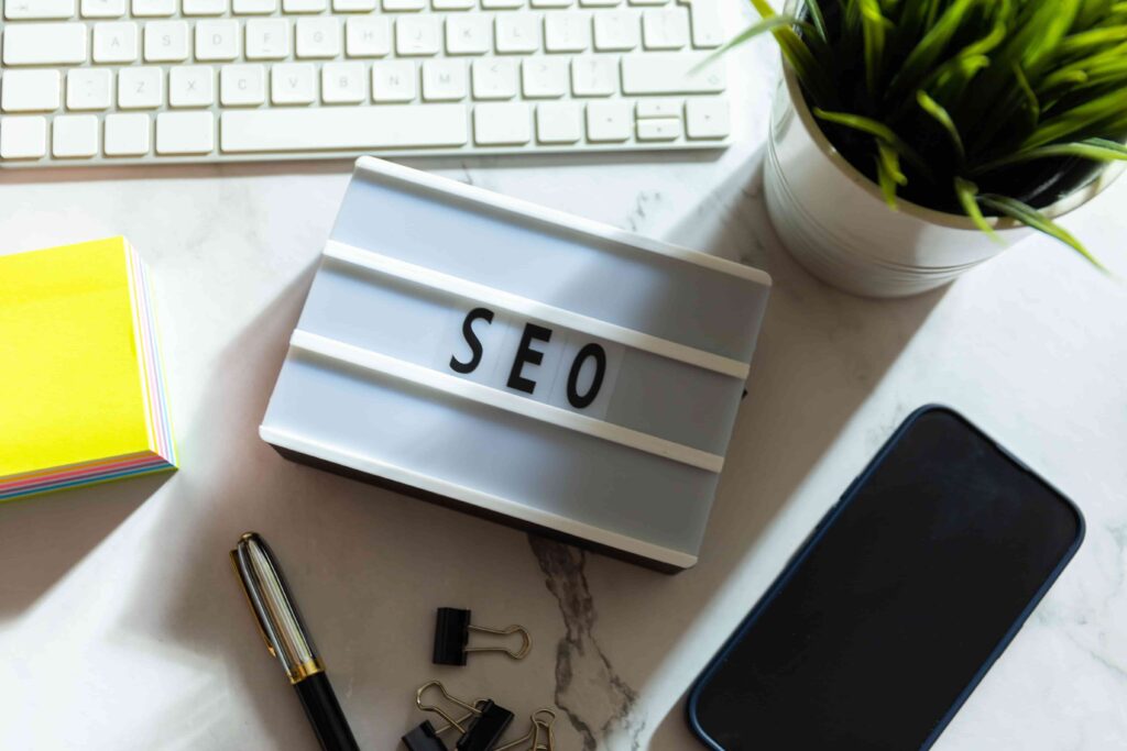 professional seo services in India