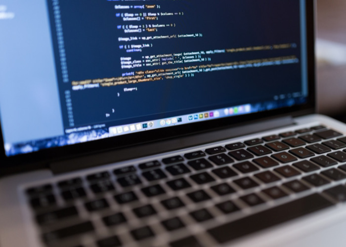 Web Development Solutions