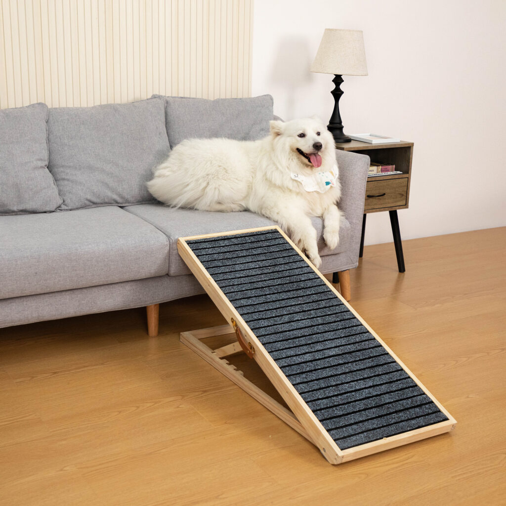 Dog ramp