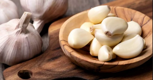Garlic