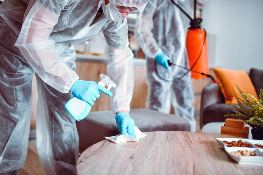 Hoarding and clutter cleaning