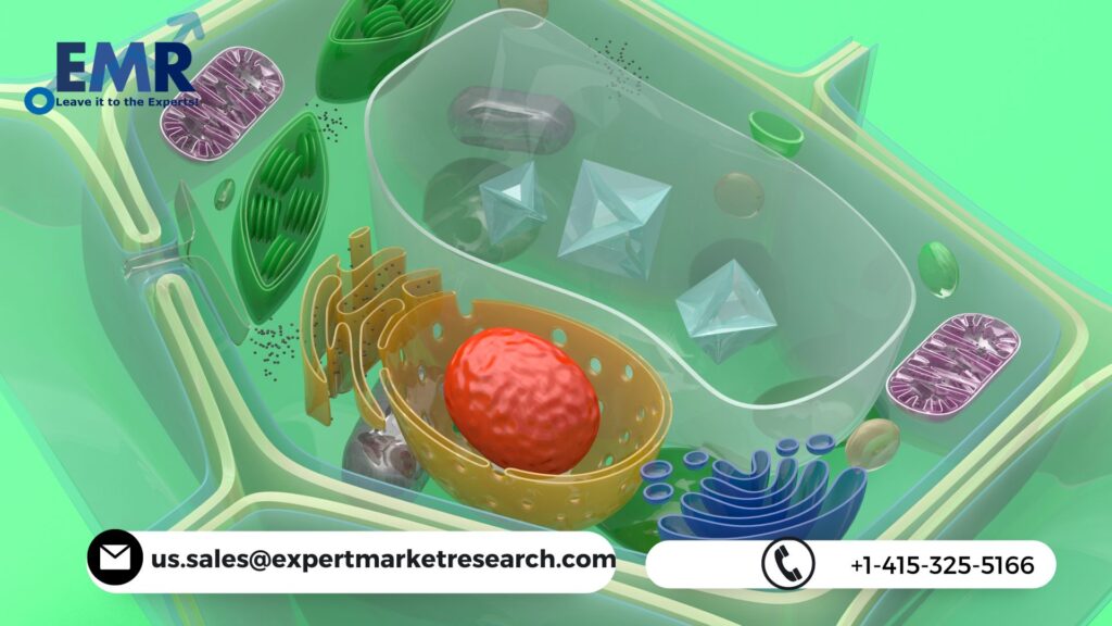 Human Embryonic Stem Cell Market Trends
