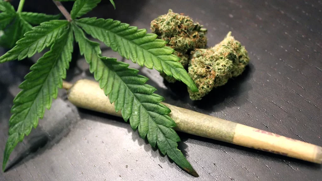 toronto-cannabis