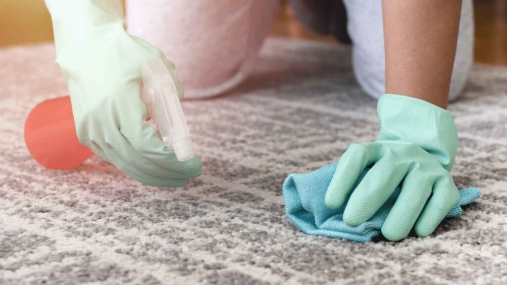 Carpet stain removal services