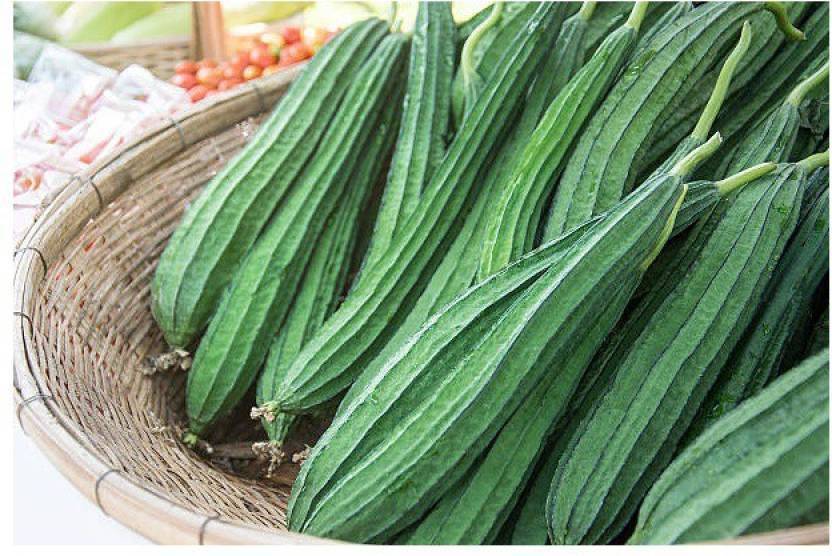 Ridge Gourd