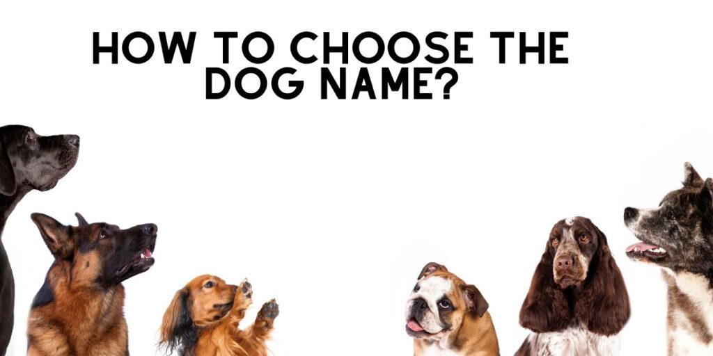 Choose a name