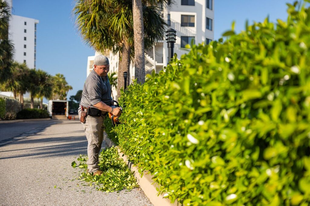 commercial property maintenance in Denver, commercial landscaping in Denver