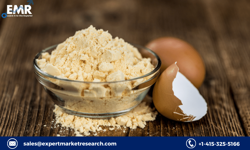 egg powder market