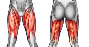 pain in thigh