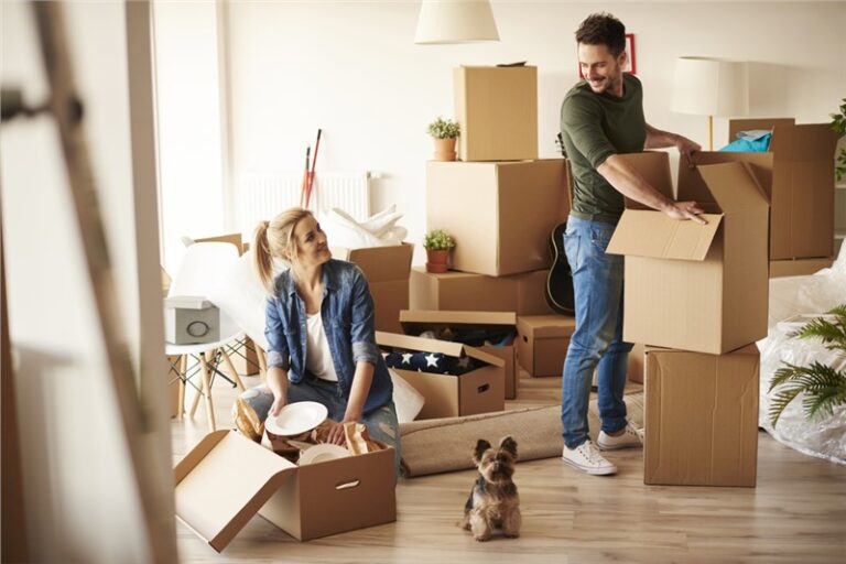 Office Removal