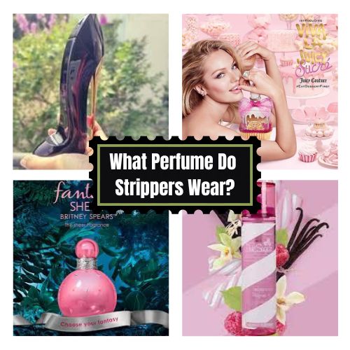 List of 5 Best Perfume Do Strippers Wear 