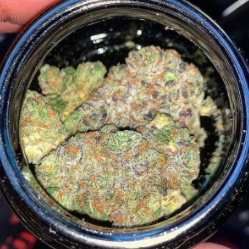 Girl Scout Cookies Weed