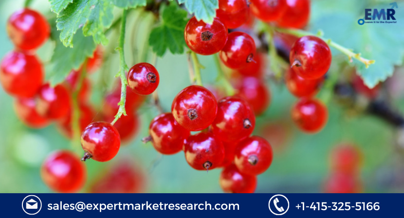 Red Berries Market Size
