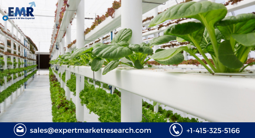 Vertical Farming Market Share