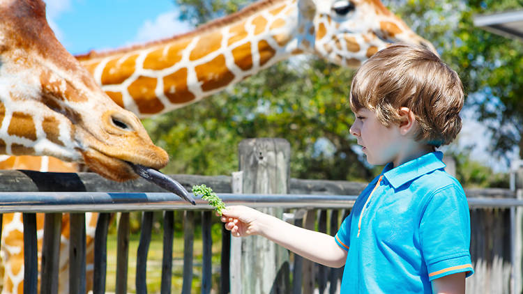 Best Zoos