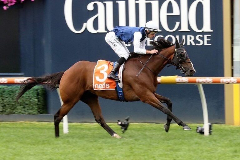 buy a racehorse