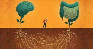 Understanding the Gut-Brain Connection