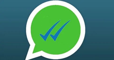 how to remove blue tick on whatsapp