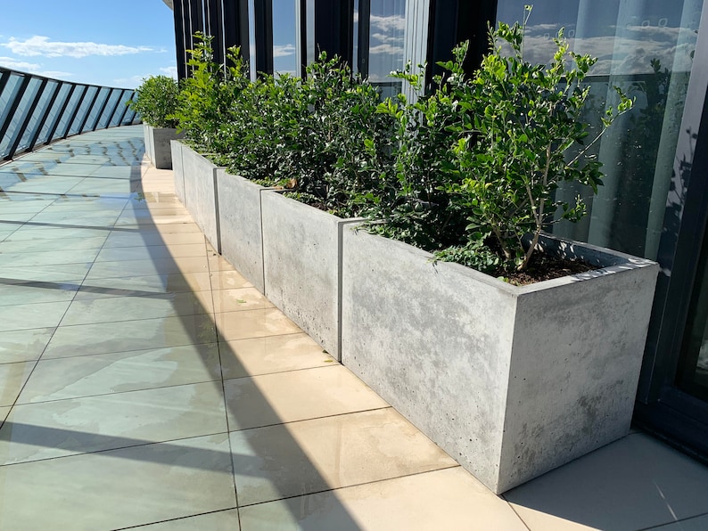 concrete planter box